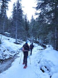 Voie romaine Voie romaine