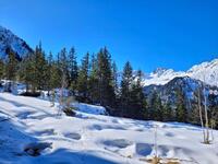 Neige qui scintille, silence et traces d'animaux ! Neige qui scintille, silence et traces d'animaux !
